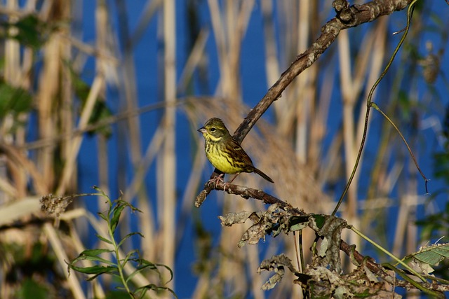 Foto do arquivo: fornecida por 【resultado lotofácil 1001】