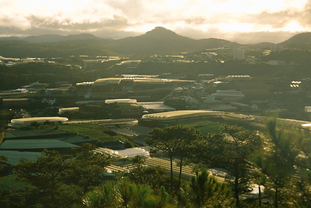 Foto do arquivo: fornecida por 【conquestador casino】