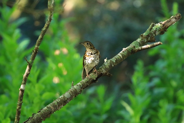 Foto do arquivo: fornecida por 【resultado da quina 750】