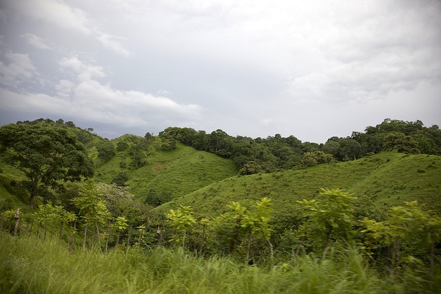 barueri sp