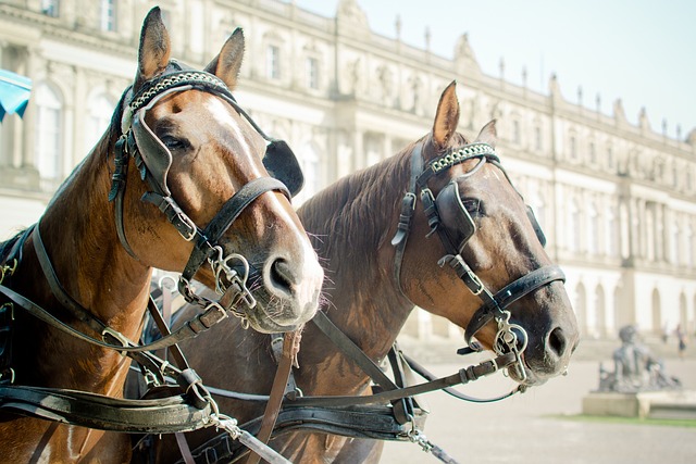 resultado do jogo do palmeirense de hoje à noite