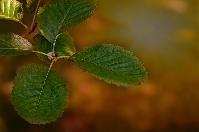 Foto do arquivo: fornecida por 【Resultado do concurso da Quina do último sorteio】