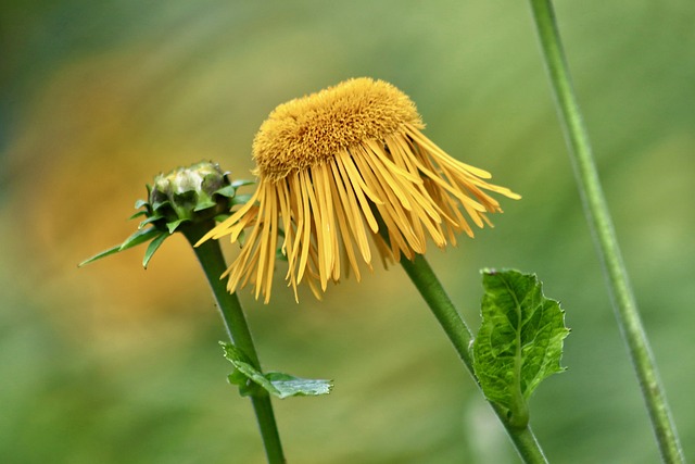 Foto do arquivo: fornecida por 【simples bet login】