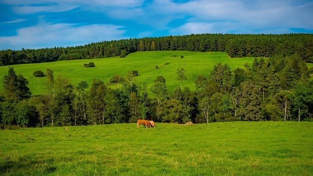 Foto do arquivo: fornecida por 【slotmill】