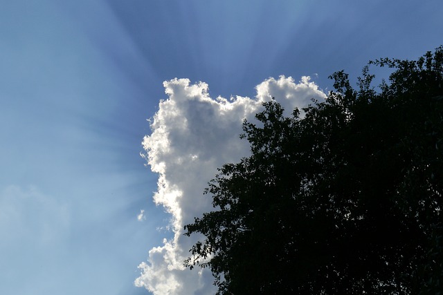 Foto do arquivo: fornecida por 【resultado loteria dos sonhos dia 16】