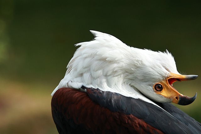 Foto do arquivo: fornecida por 【lotofácil da independência corre quando】