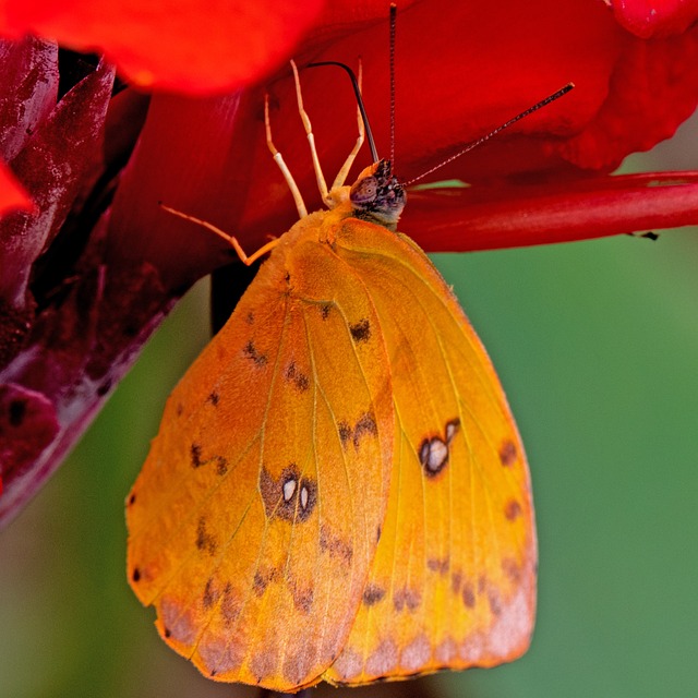 Foto do arquivo: fornecida por 【mega esta acumulada】