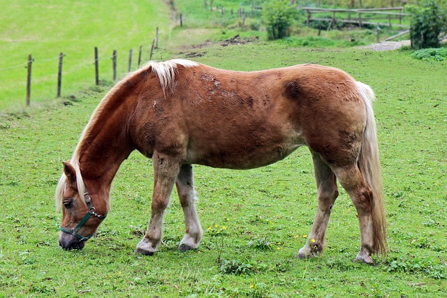 Foto do arquivo: fornecida por 【ufabet gold 888】