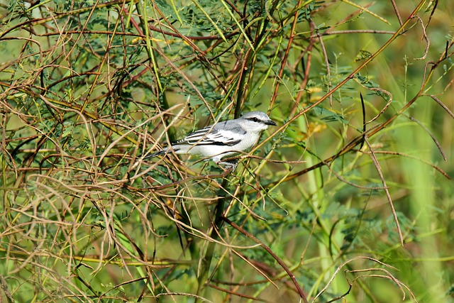 Foto do arquivo: fornecida por 【resultado da lotofácil do dia 26 de outubro】