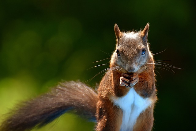 Foto do arquivo: fornecida por 【groundhog harvest pg slot】