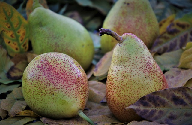 Foto do arquivo: fornecida por 【Reais no cadastro sem cobrança】