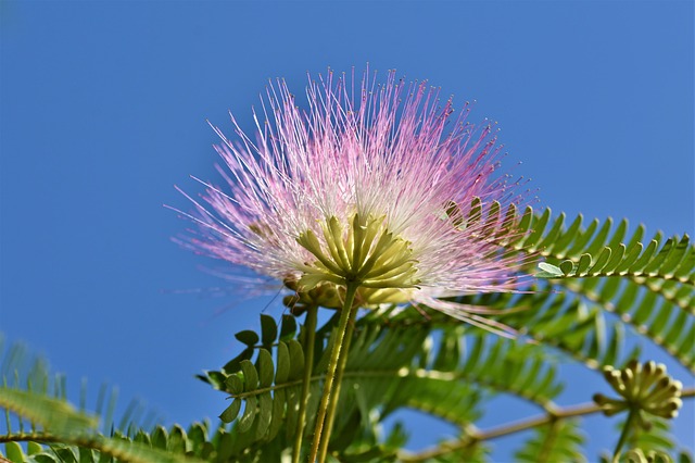 joguinhos de cassino