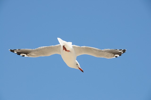 Foto do arquivo: fornecida por 【resultado da quina concurso 3134】