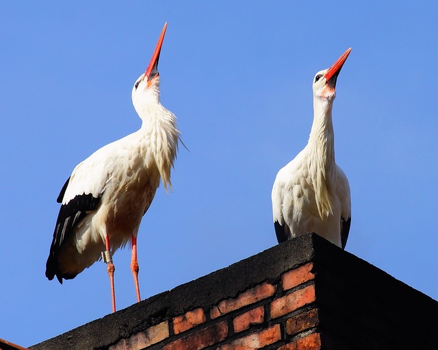 paratodos bahia jogo bicho