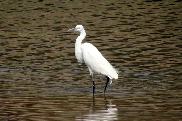 Foto do arquivo: fornecida por 【lotofácil esquemas】