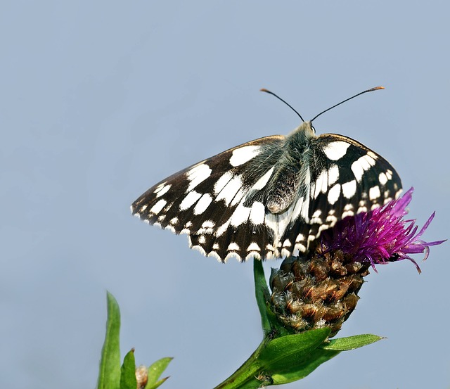 Foto do arquivo: fornecida por 【galera bet login】