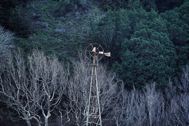 jogos novos de fazenda