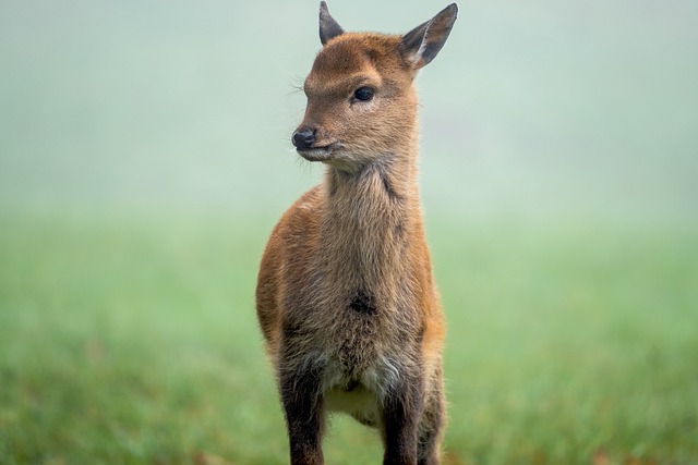 ́loterias caixa