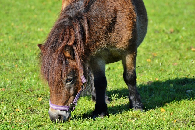 Foto do arquivo: fornecida por 【luckyland slot】