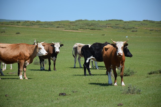 Foto do arquivo: fornecida por 【resultado da quina concurso 571】