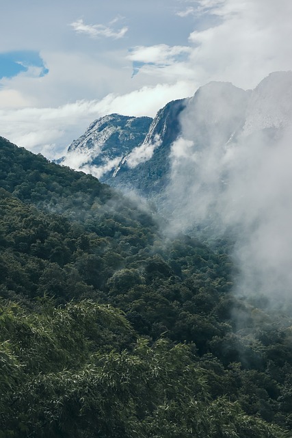 Foto do arquivo: fornecida por 【loteria guapimirim】