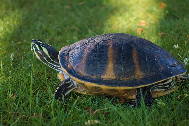 Foto do arquivo: fornecida por 【resultado da lotofácil de sexta】