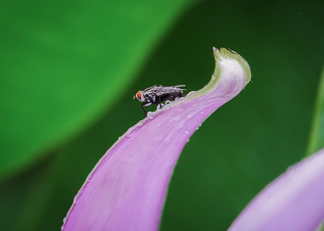 Foto do arquivo: fornecida por 【Últimos números do bicho】