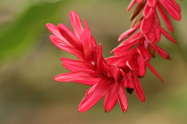 Foto do arquivo: fornecida por 【sonhar com casas antigas e grandes jogo do bicho】