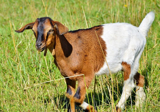 Foto do arquivo: fornecida por 【resultado da lotofácil do dia 27 do sete】