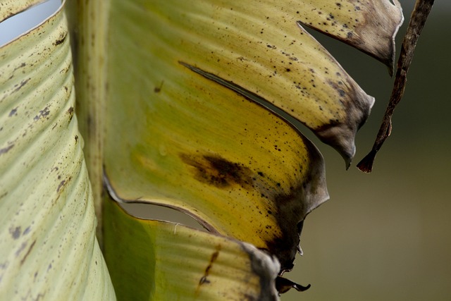 Foto do arquivo: fornecida por 【instalar fontes desconhecidas】