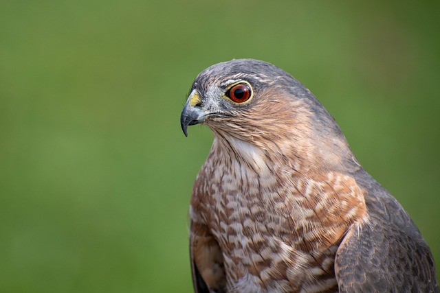 Foto do arquivo: fornecida por 【resultado mega sena 1447】