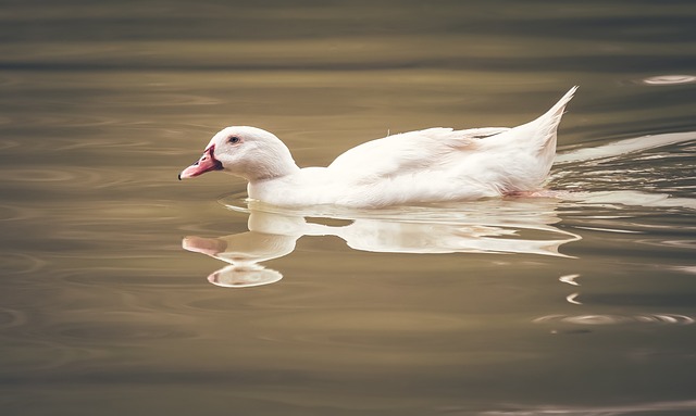 Foto do arquivo: fornecida por 【resultado da mega sena concurso 2220】