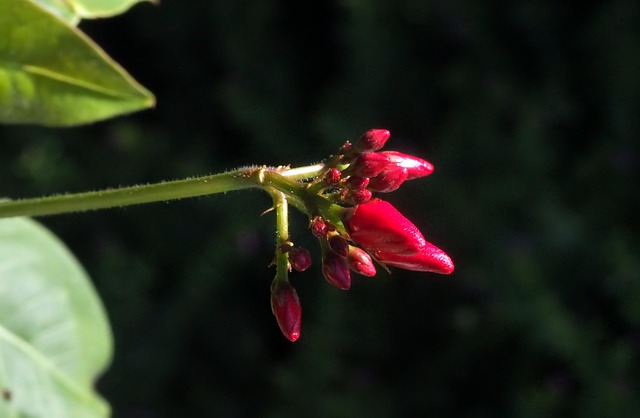 Foto do arquivo: fornecida por 【blog bet365】