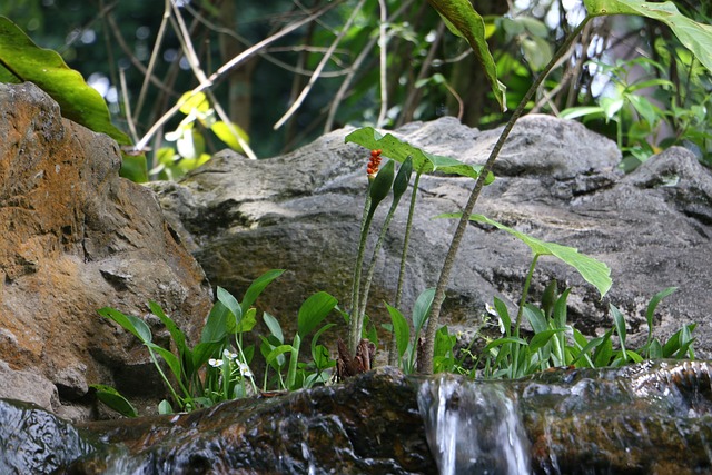 Foto do arquivo: fornecida por 【goblins cave slot】