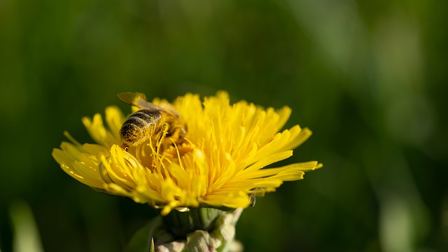 Foto do arquivo: fornecida por 【app blaze instalar】