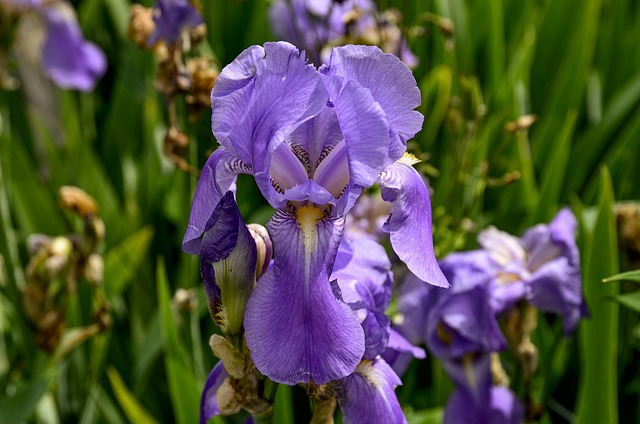 loterias caixa bolão