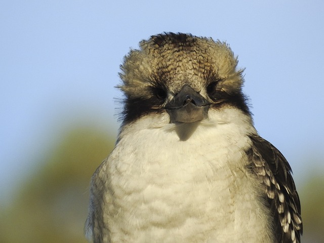 Foto do arquivo: fornecida por 【lottomart】