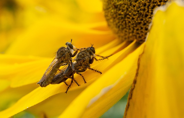 Foto do arquivo: fornecida por 【bônus de cadastro grátis sem depósito cassino】