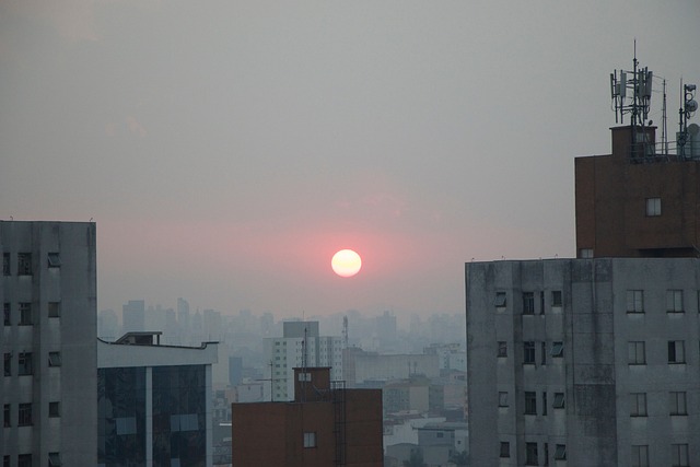 Sorteio do animal em São Paulo