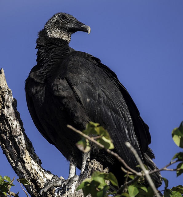 Foto do arquivo: fornecida por 【Números da Lotofácil deste sorteio】