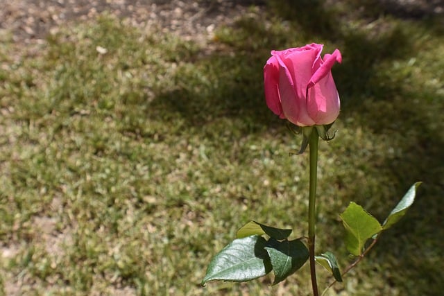 Foto do arquivo: fornecida por 【resultado da quina de segunda feira passada】