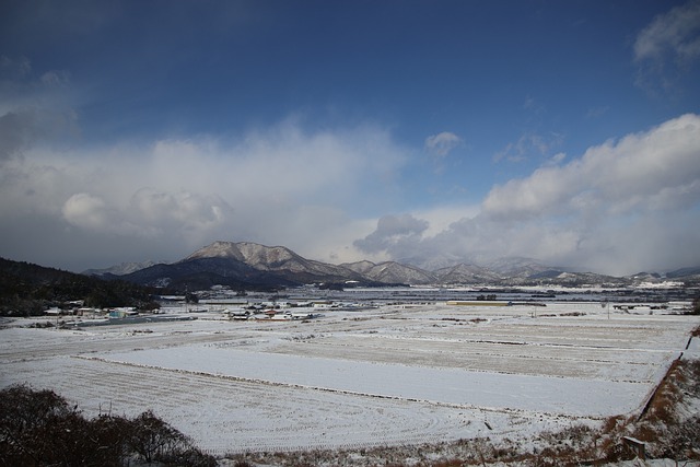 cassino japonês,plataforma de 