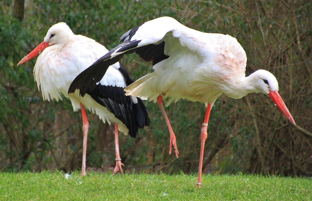 Foto do arquivo: fornecida por 【resultado da mega sena 2539 giga sena】