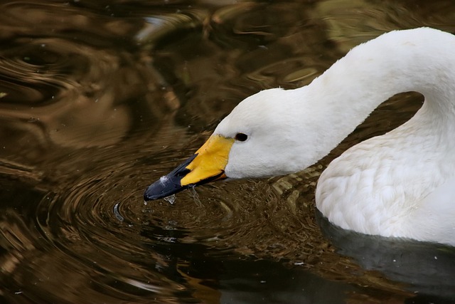 Foto do arquivo: fornecida por 【resultado da lotofácil 2199】