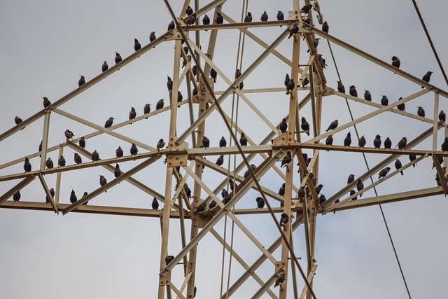 com três números na mega sena ganha alguma coisa