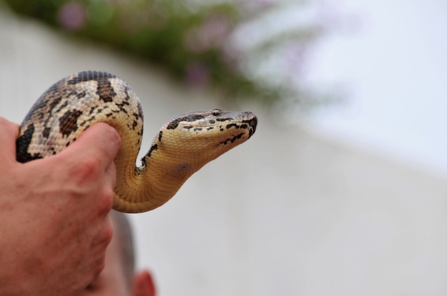 Foto do arquivo: fornecida por 【resultado da lotofácil do dia 19 2022】