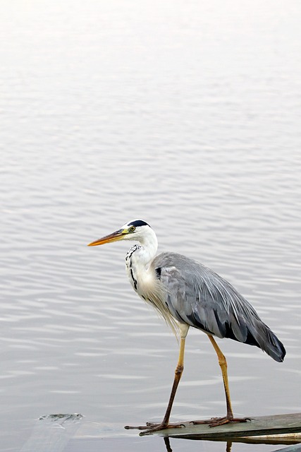 Foto do arquivo: fornecida por 【cassinos】