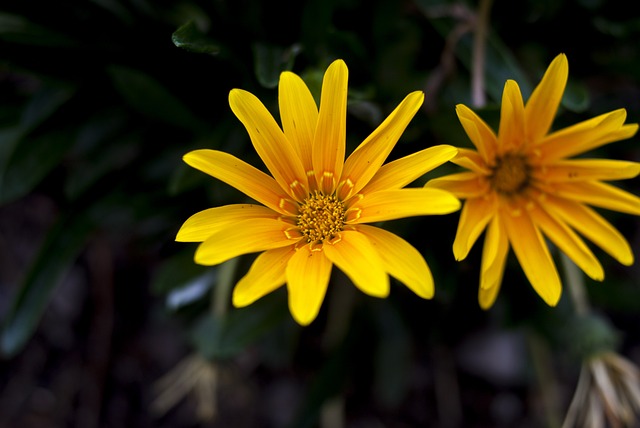 Foto do arquivo: fornecida por 【máscara quina rosa haskell resenha】