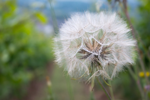 Foto do arquivo: fornecida por 【quem joga hoje na globo】