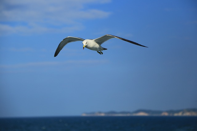 Foto do arquivo: fornecida por 【Resultado da Lotofácil do sorteio atual】